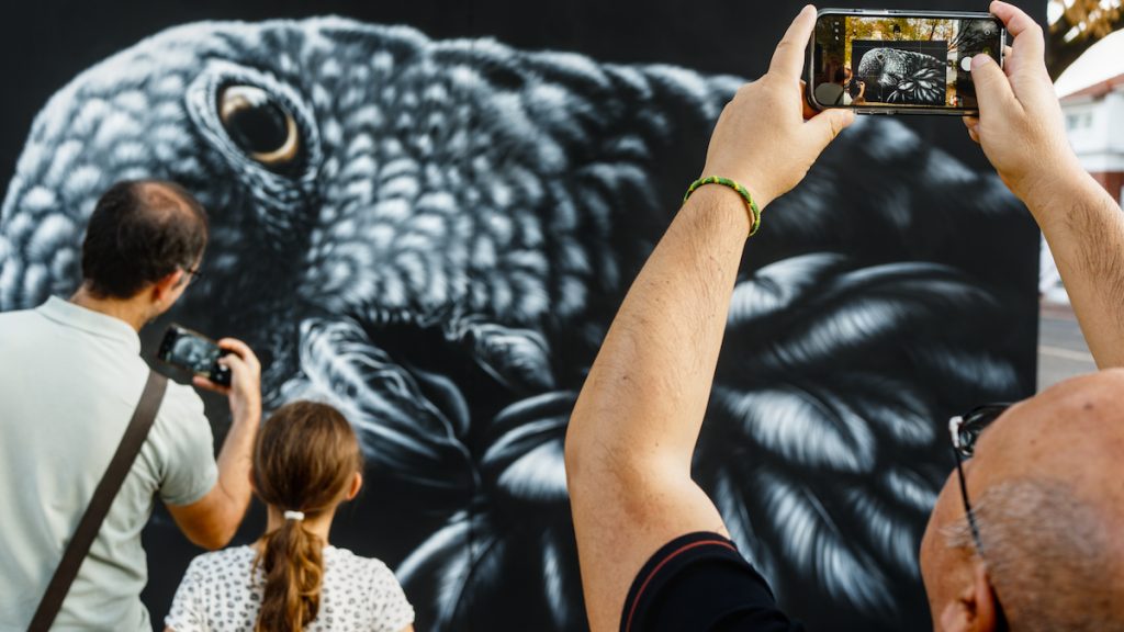 Un photographe en photographie un autre qui photographie la peinture d'un oiseau en street art. © Jean-Claude Marguerite 