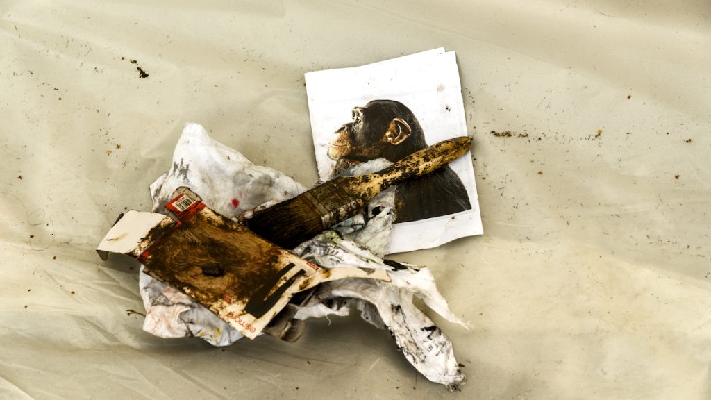 Le matériel d'une artiste de street art, la photo du singe qu'elle a représenté, sur un bout de toile avec un chiffon et un pinceau. © Jean-Claude Marguerite 