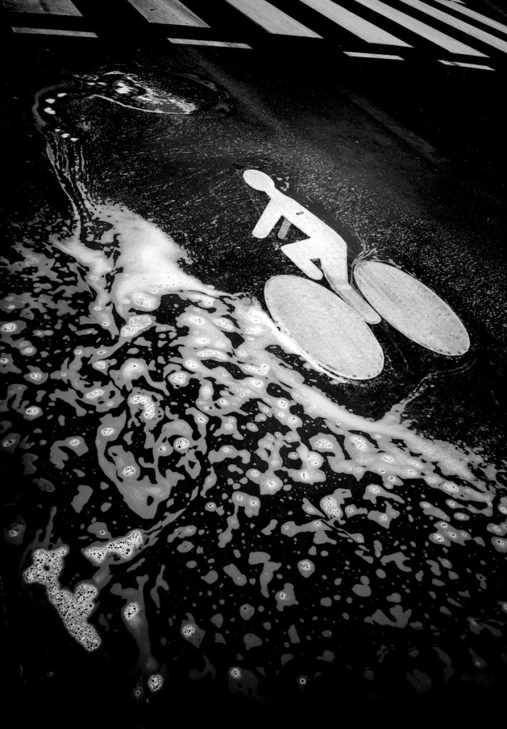 Serpent d’eau. Région parisienne, 30 juillet 2026.